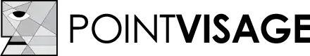 point-visage-logo